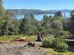 3648 SHORELINE VIEW WAY KELSEYVILLE, CA 95451