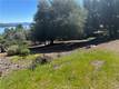 3648 SHORELINE VIEW WAY KELSEYVILLE, CA 95451