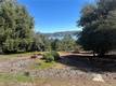 3648 SHORELINE VIEW WAY KELSEYVILLE, CA 95451