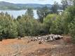 3510 KNOB CONE DRIVE KELSEYVILLE, CA 95451
