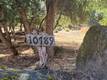 10789 HARBOR ROAD KELSEYVILLE, CA 95451