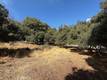 10789 HARBOR ROAD KELSEYVILLE, CA 95451