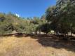 10789 HARBOR ROAD KELSEYVILLE, CA 95451
