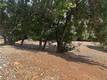 8146 BROADVIEW DRIVE KELSEYVILLE, CA 95451