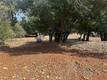 8146 BROADVIEW DRIVE KELSEYVILLE, CA 95451