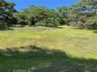 6705 FLOYD WAY NICE, CA 95464