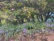 6705 FLOYD WAY NICE, CA 95464