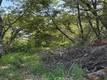 6705 FLOYD WAY NICE, CA 95464
