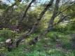 6705 FLOYD WAY NICE, CA 95464