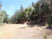 5191 LAKE ROAD LOWER LAKE, CA 95457