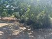 3588 LINCOLN AVENUE CLEARLAKE, CA 95422