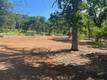 3588 LINCOLN AVENUE CLEARLAKE, CA 95422
