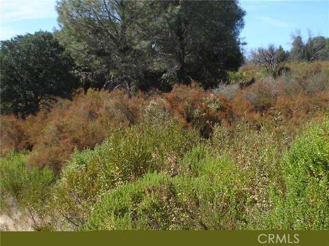 16344 4TH AVENUE CLEARLAKE, CA 95422