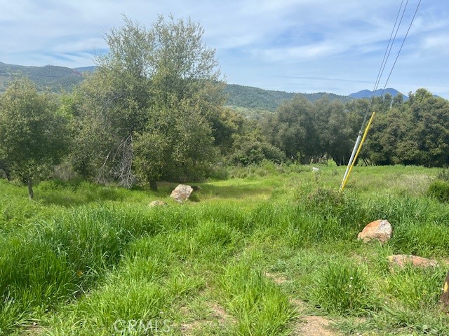 15578 19TH AVENUE CLEARLAKE, CA 95422