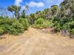 6696 STATE HWY 20 UPPER LAKE, CA 95485
