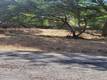 6151 SUNRISE DRIVE LOWER LAKE, CA 95457