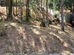 6151 SUNRISE DRIVE LOWER LAKE, CA 95457