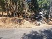 6151 SUNRISE DRIVE LOWER LAKE, CA 95457