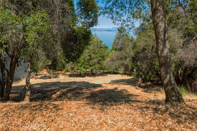 3167 SKYLINE DRIVE KELSEYVILLE, CA 95451