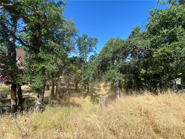 17487 MEADOW VIEW DRIVE HIDDEN VALLEY LAKE, CA 95467