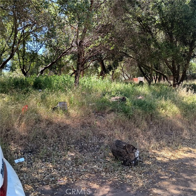 3519 COVELO STREET CLEARLAKE, CA 95422