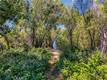5905 E HIGHWAY 20 LUCERNE, CA 95458