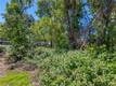 5905 E HIGHWAY 20 LUCERNE, CA 95458