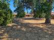 14089 LAKESHORE DRIVE CLEARLAKE, CA 95422