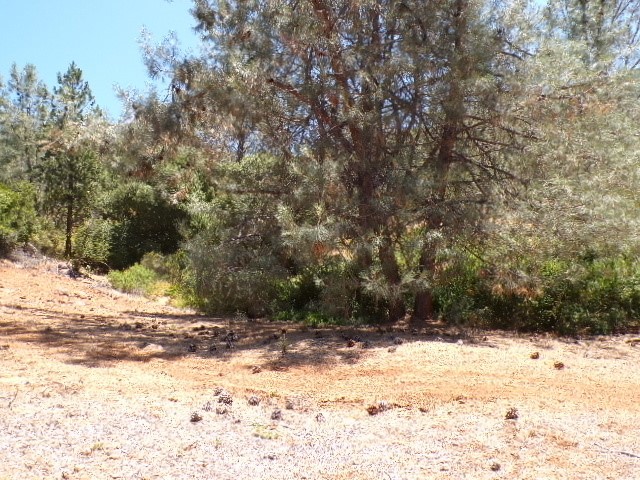 3440 WESTRIDGE DRIVE KELSEYVILLE, CA 95451