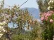 3440 WESTRIDGE DRIVE KELSEYVILLE, CA 95451