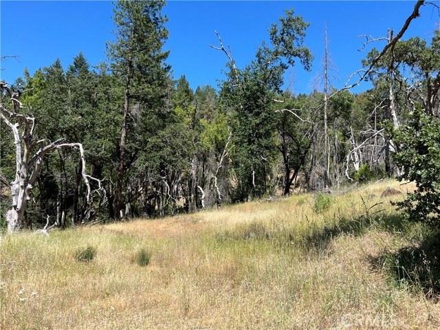 20925 MID MOUNTAIN (17N17 USFS) ROAD UPPER LAKE, CA 95469