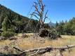 20925 MID MOUNTAIN (17N17 USFS) ROAD UPPER LAKE, CA 95469