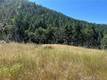 20925 MID MOUNTAIN (17N17 USFS) ROAD UPPER LAKE, CA 95469