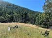 20925 MID MOUNTAIN (17N17 USFS) ROAD UPPER LAKE, CA 95469