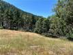 20925 MID MOUNTAIN (17N17 USFS) ROAD UPPER LAKE, CA 95469