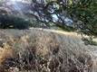 7140 MORTON STREET NICE, CA 95464