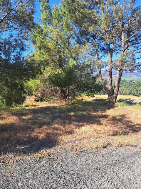 16125 14TH AVENUE CLEARLAKE, CA 95422