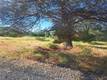 16125 14TH AVENUE CLEARLAKE, CA 95422