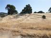 7280 WILSON STREET NICE, CA 95464