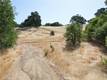7290 WILSON STREET NICE, CA 95464