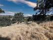 2425 GREELEY STREET NICE, CA 95464