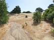 7285 WILSON STREET NICE, CA 95464