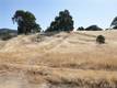 7285 WILSON STREET NICE, CA 95464