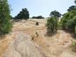 7295 WILSON STREET NICE, CA 95464