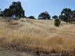 7295 WILSON STREET NICE, CA 95464