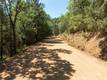 9600 SEIGLER SPRINGS NORTH ROAD KELSEYVILLE, CA 95451