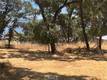 2534 BEACH LANE LAKEPORT, CA 95453
