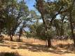 2534 BEACH LANE LAKEPORT, CA 95453