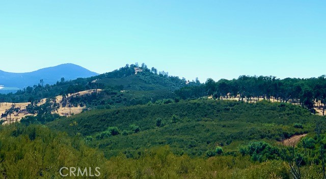 10455 SKY HIGH RIDGE ROAD LOWER LAKE, CA 95457