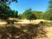 10455 SKY HIGH RIDGE ROAD LOWER LAKE, CA 95457